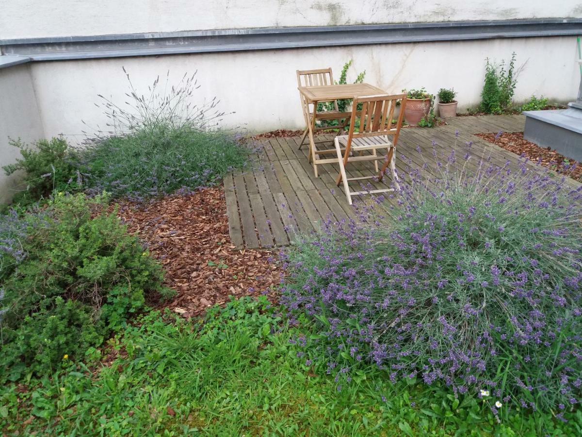 Terrassentraum Leilighet Wien Eksteriør bilde